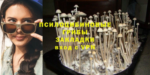 mix Дмитров