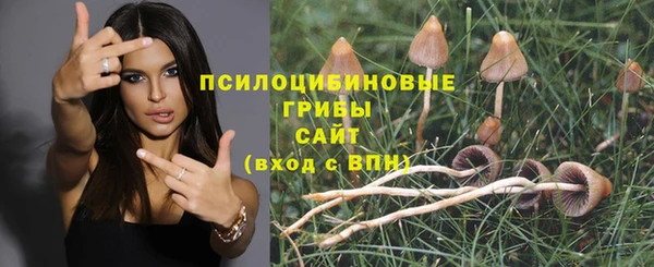mix Дмитров